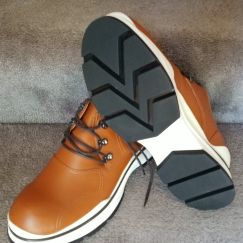 Mens Louis Vuitton shoes